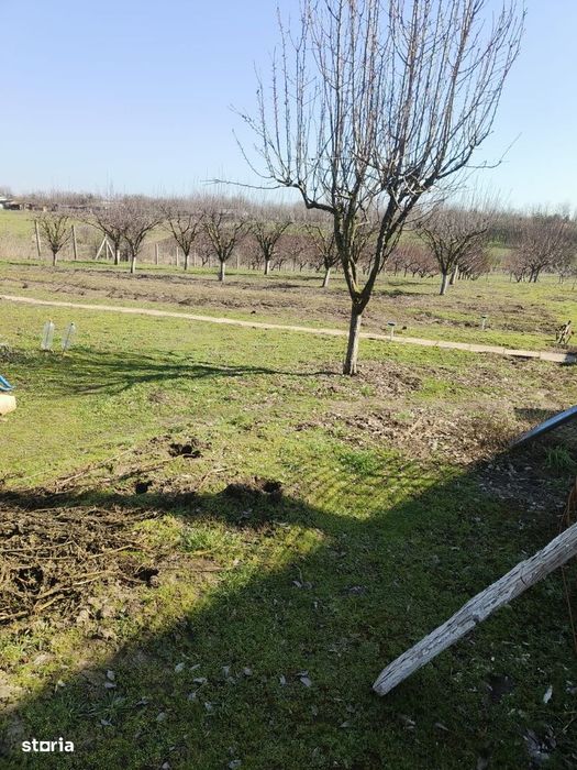 Casa de vanzare, Valcelele, Calarasi