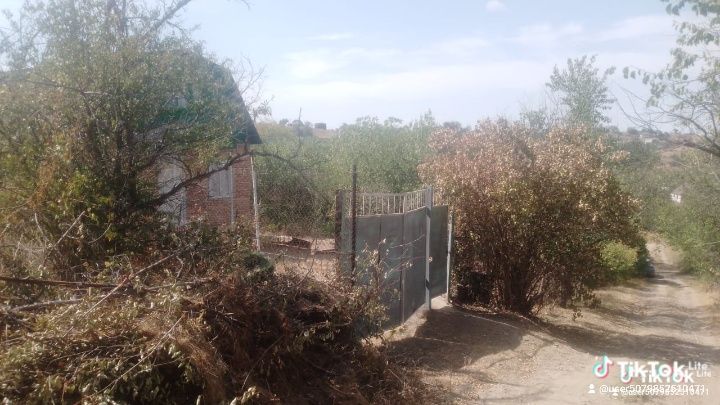 Продоетса дачатурарские