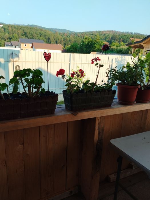 Persoana fizică proprietar vând casă nouă în Cristian zonă deosebită.