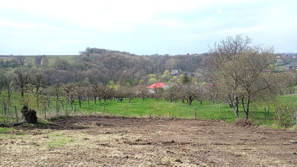 Teren intravilan in Radaseni 1587mp cu toate utilitatile