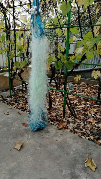 Plase de pescuit profesionale