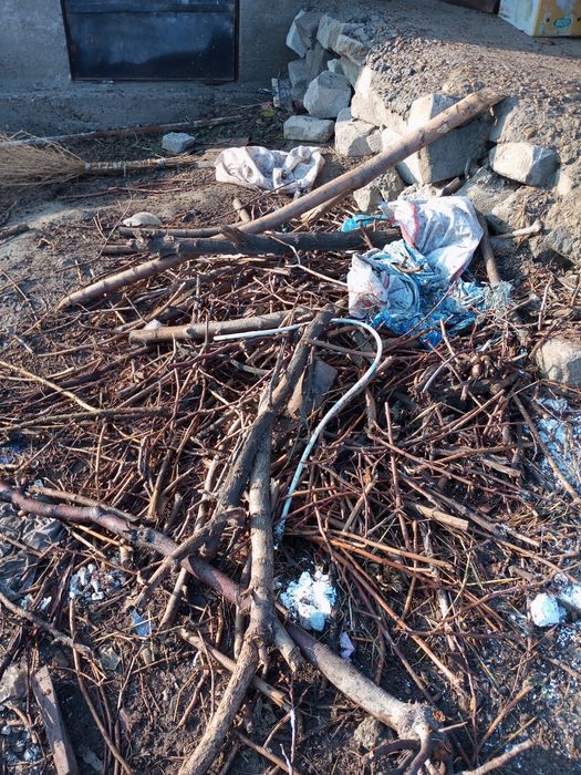 Tandir uy uchun o'tin