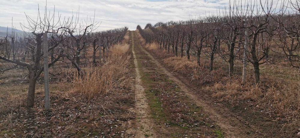 Spaleri beton de vanzare in stare excelenta