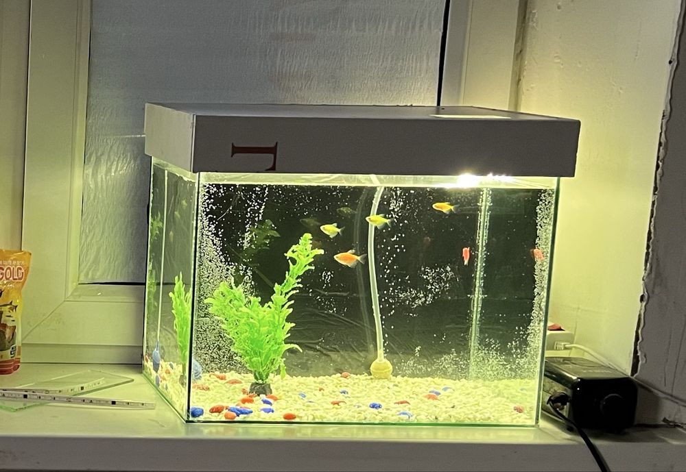 новые аквариумы 30л