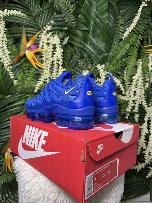 Nike Vapor Max Plus Blue