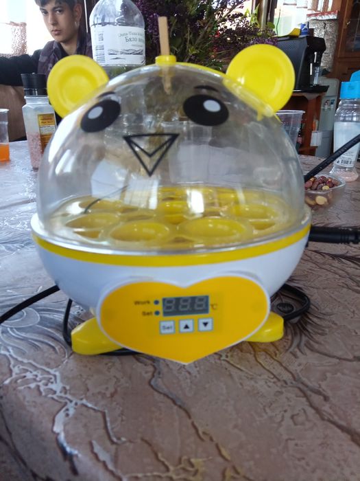 Инкубатор за люпене на пилета