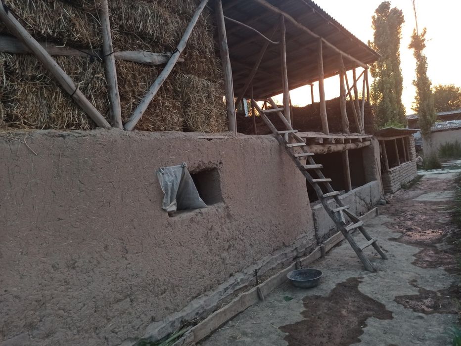 Уй сотилади 15 сотих