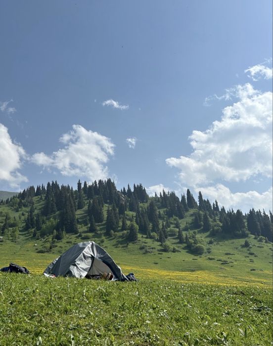 Палатка кэмпинговая в аренду