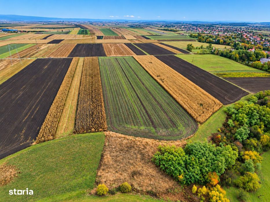 Teren extravilan de 24.000 m² de vânzare în Comolău!