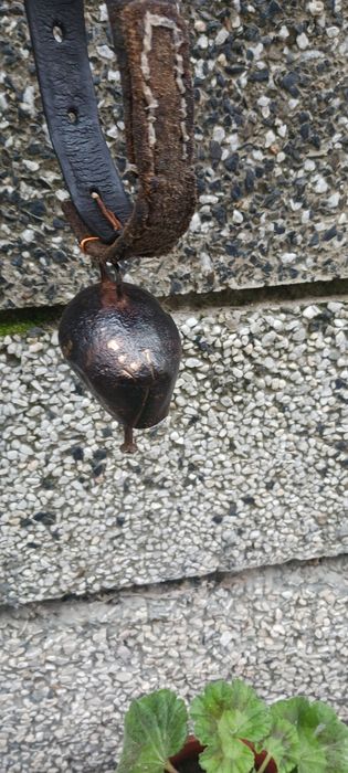 Много красиви стари хлопки