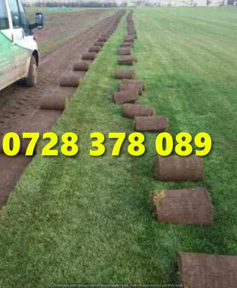 Gazon / Insamantare / Rulouri de Gazon