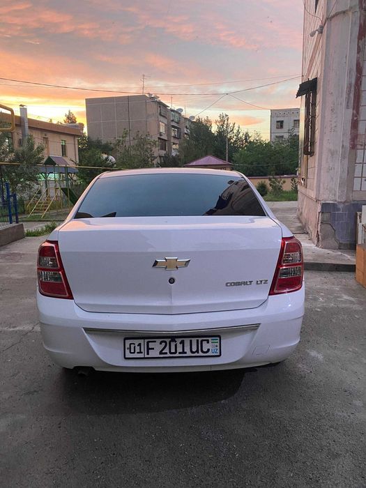 Other Cobalt 2023 — 9