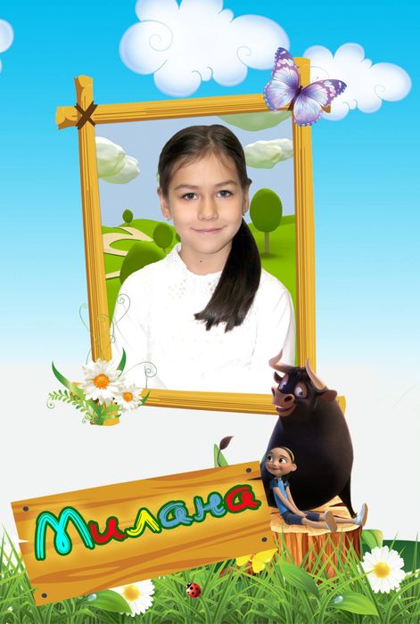 Виньетки по хорошей цене