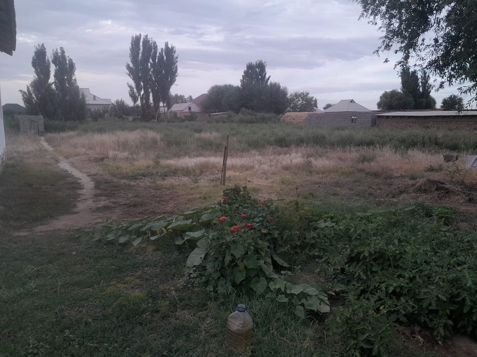 Үй. Қосмезгіл. Дом Космезгил