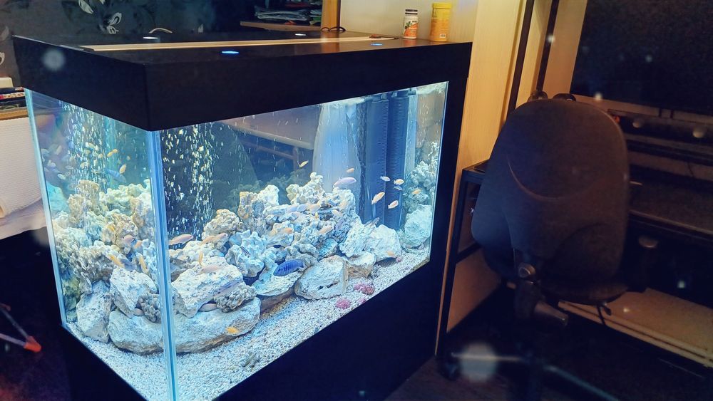 Аквариум:изготовление,обслуживание,дизайн,ремонт..