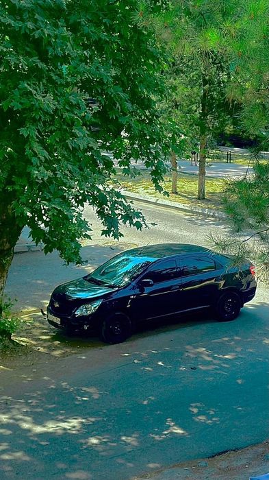 Srochno kobalt sotiladi 2023