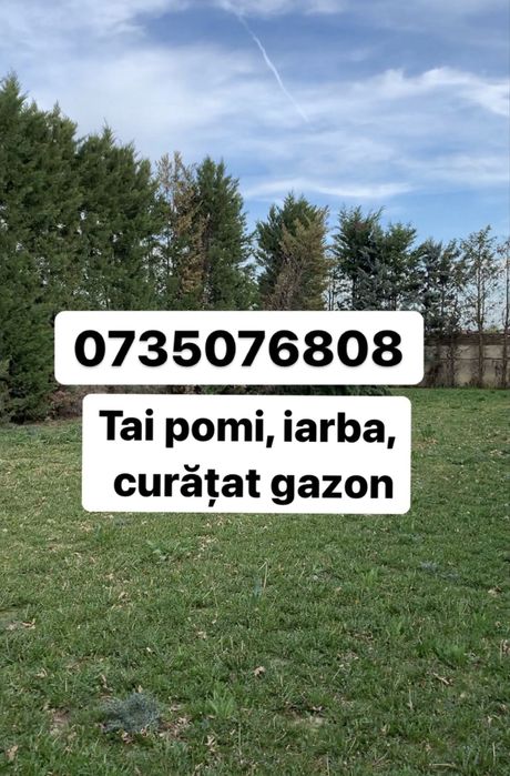 Tai pomi inalti tai iarba