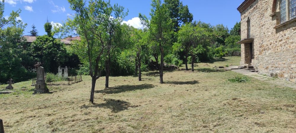 Косене на трева и буйна растителност+рязане на дървета