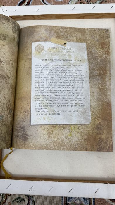 Гравити Фолз Дневник 3