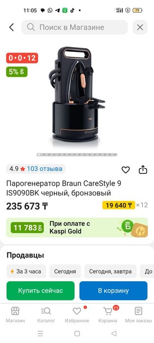 Парогенератор BRAUN