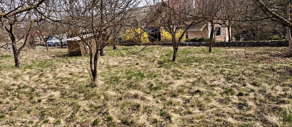 Vand teren în borhanci