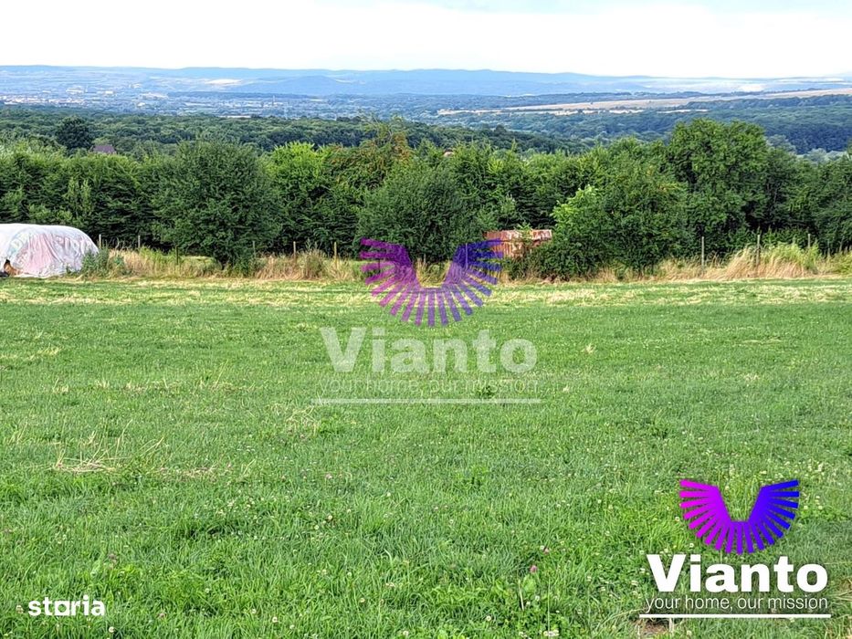 Oportunitate-Teren Extravilan 3100 mp cu vedere Panoramica-Tropinii No