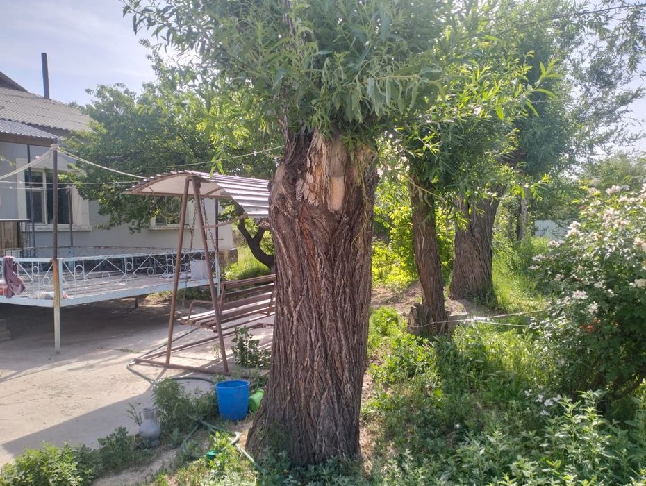 Продается частный дом с участком в 36 соток.