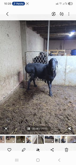 Лумизин линяа 2 г