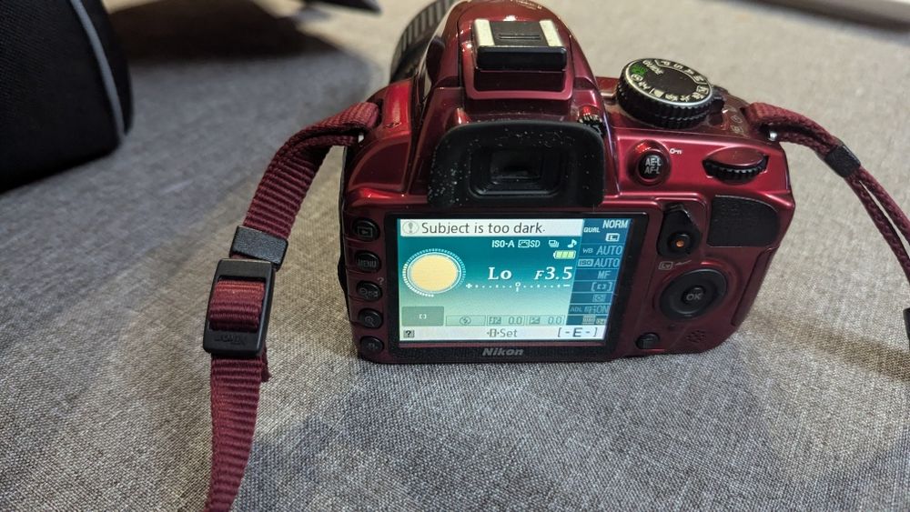 Фотоапарат Nikon D3100