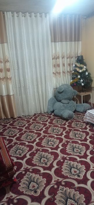 Богот центр навойи курпс