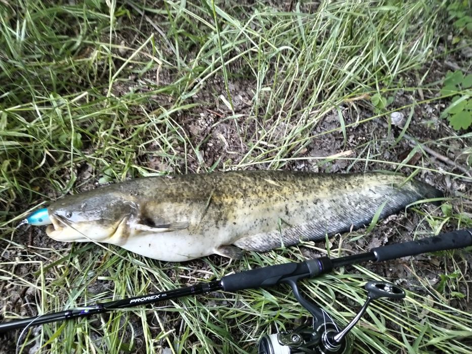 Спининг въдици - Daiwa Prorex AGS