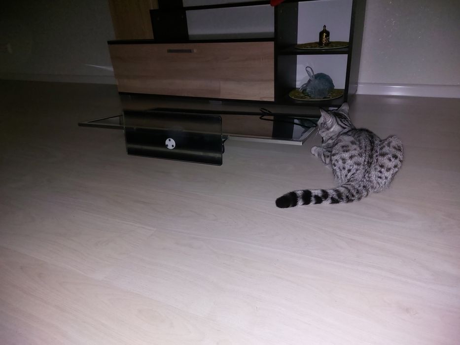 Продам тв в нераб.состоянии