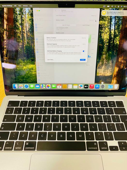Apple MacBook Air 13" 2025, Apple M4, 16GB RAM, 256GB, Sky Blue, 100% BH