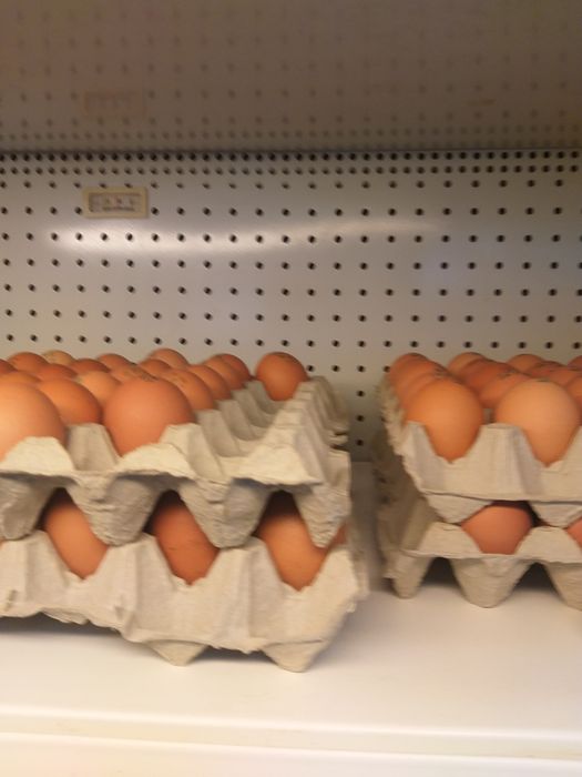 Vitrina cu perdea aer Electrolux+4-+8grade 1200lei