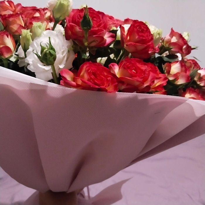 Свежие цветы розы