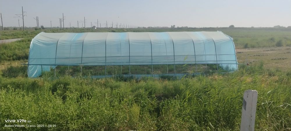 Парник 1 сотикли.