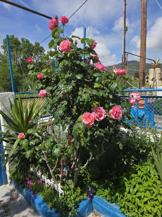 Къща под наем в Кавала, плаж Перигиали