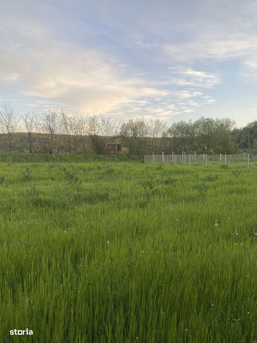 Teren intravilan de vânzare – Leamna de Jos | 2750 mp | Parcelabil.