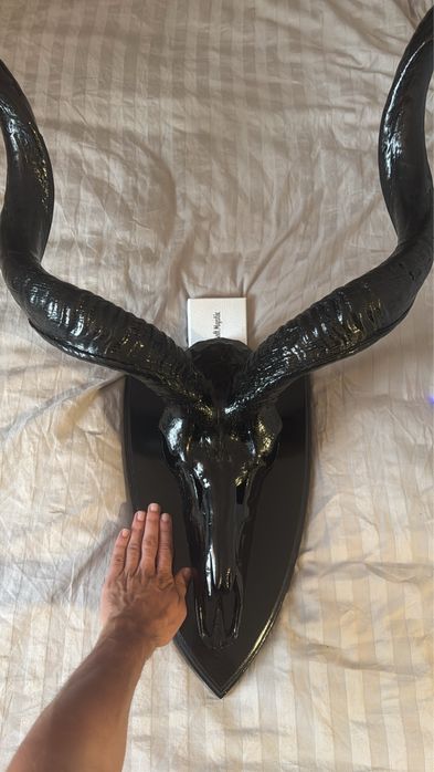 Trofeu Antilopa  Greater Kudu Africa – piesă rară de colecție