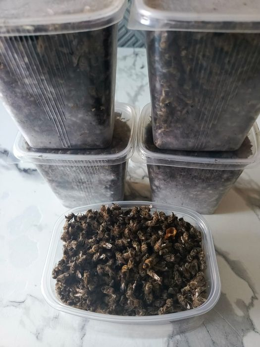 Продам пчелиный подмор