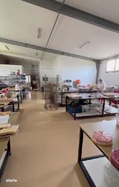 Afacere de vanzare, brutarie+patiserie, 3 hale,  Satu Mare