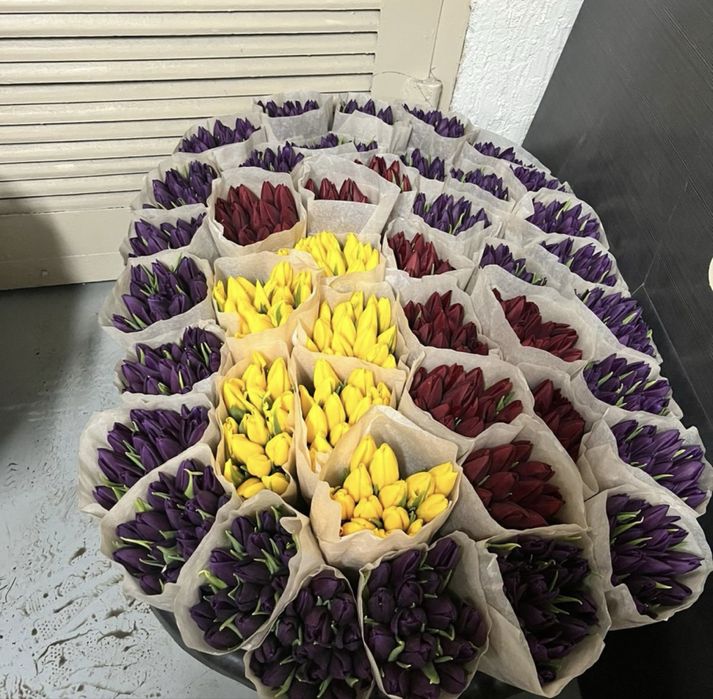 Самые крупные тюльпаны в Казахстане бутон до 10 см