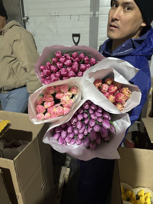 Голландские тюльпаны