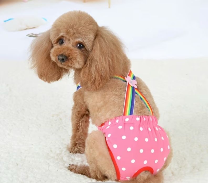 Физиологични гащички за куче с презрамки