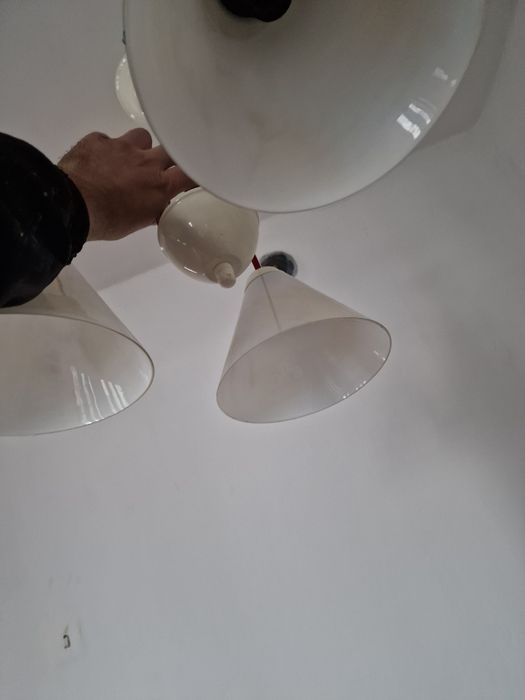 Продавам Полилеи