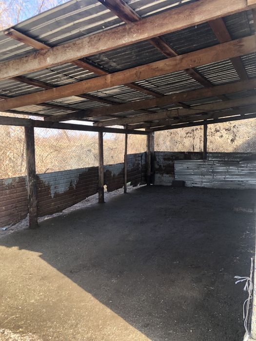 Фазенда Сатылады Откорм Баз