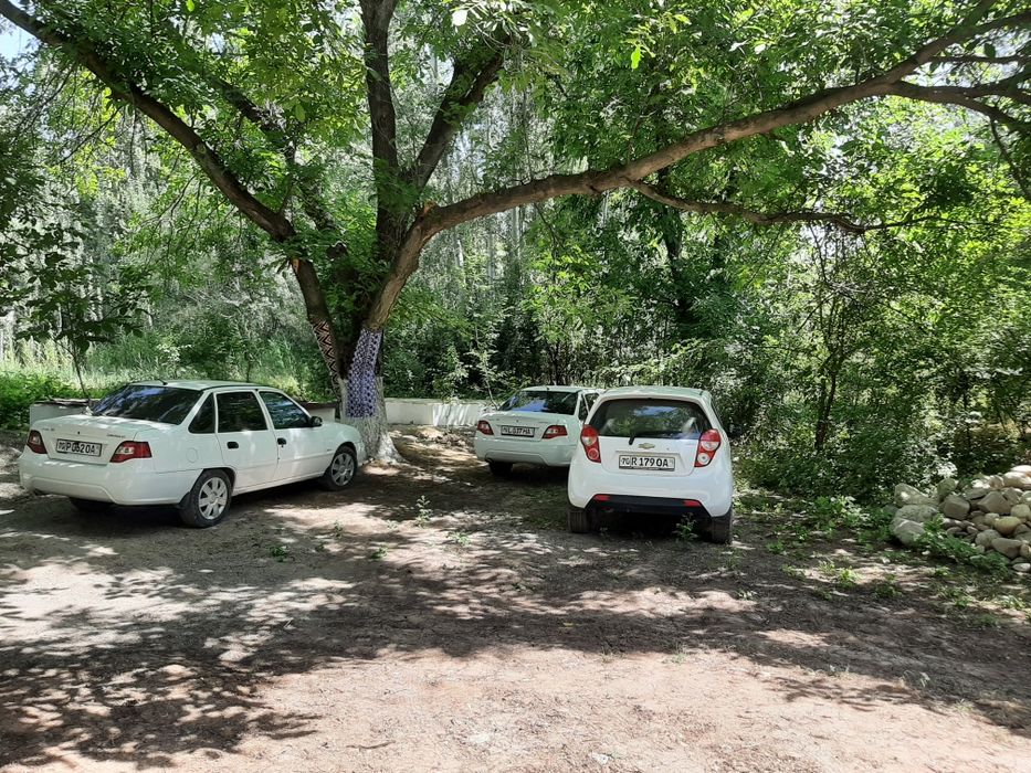 Buzuq bobo oz nevarasini sikdi (porno onlayn)