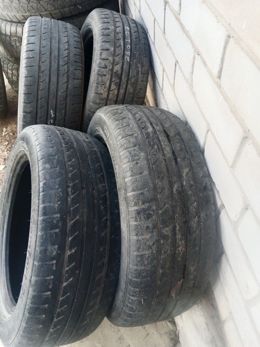 Жазгы догалак сатылыды