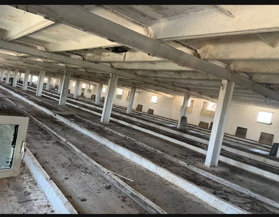 Продаю Ангар 1700 м2 на участке 1.5 Га в Кибрае