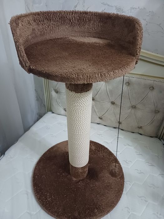 Зоотовары для кошек, когтеточка, домик  и лоток. Новые. За все 500000